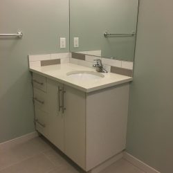 Bathroom Renovation Mahogany